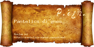 Pantelics Ágnes névjegykártya